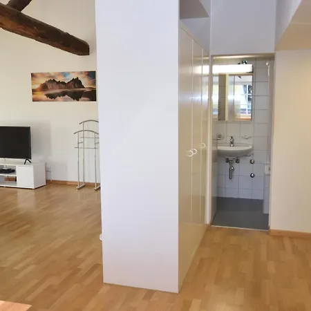 Apartment Loft In The Historical Center - Symbol 4 Zurich