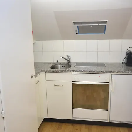 Loft In The Historical Center - Symbol 4 Apartment Zurich