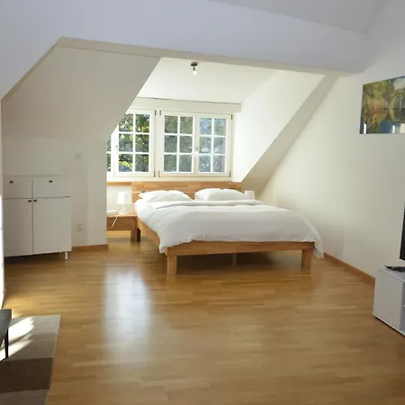 Loft In The Historical Center - Symbol 4 * Zurich