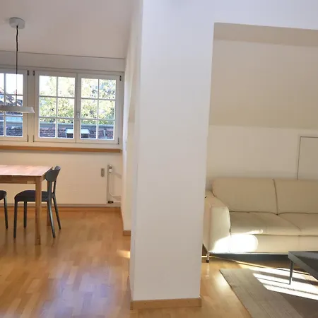 Loft In The Historical Center - Symbol 4 Zurigo